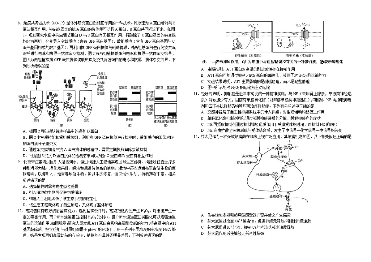 2025届高三联合模拟考试生物科试卷第2页