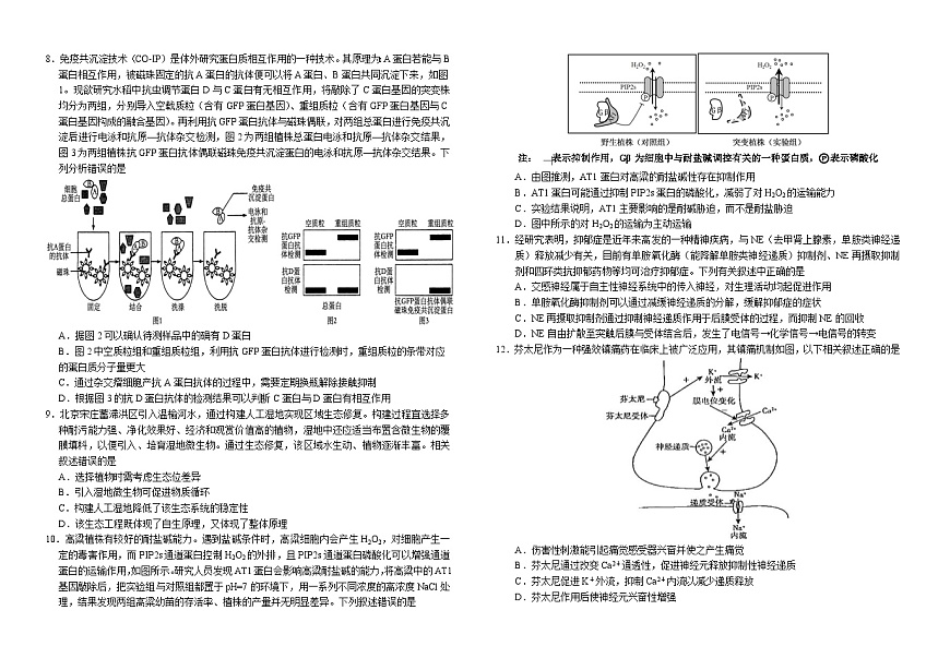 2025届高三联合模拟考试生物科试卷第2页