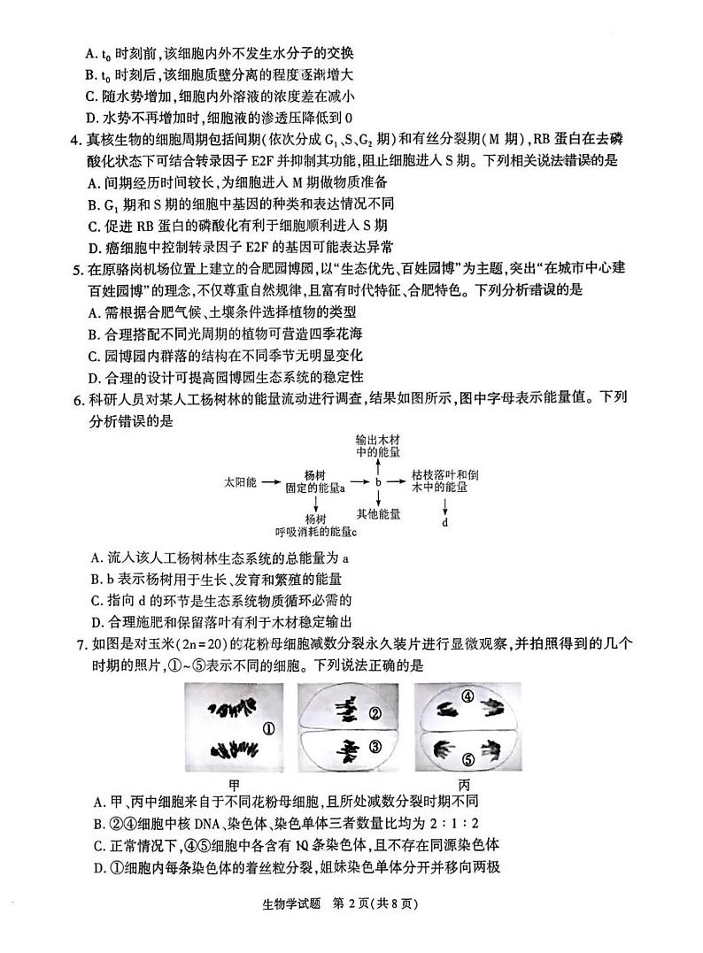 安徽省合肥市一模2025届高三第一次教学质量检测生物试题及答案第2页