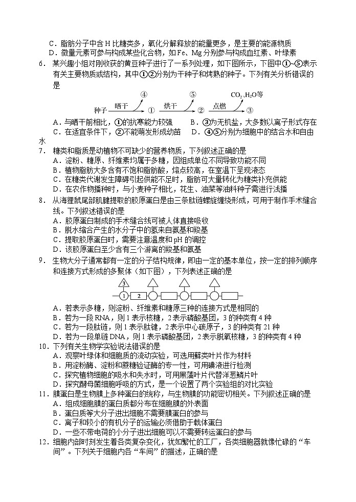 广东省大湾区2024-2025学年高一上学期期末考试生物试题第2页