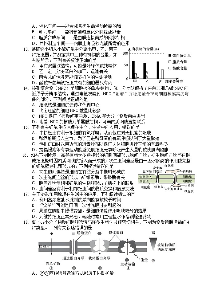 广东省大湾区2024-2025学年高一上学期期末考试生物试题第3页