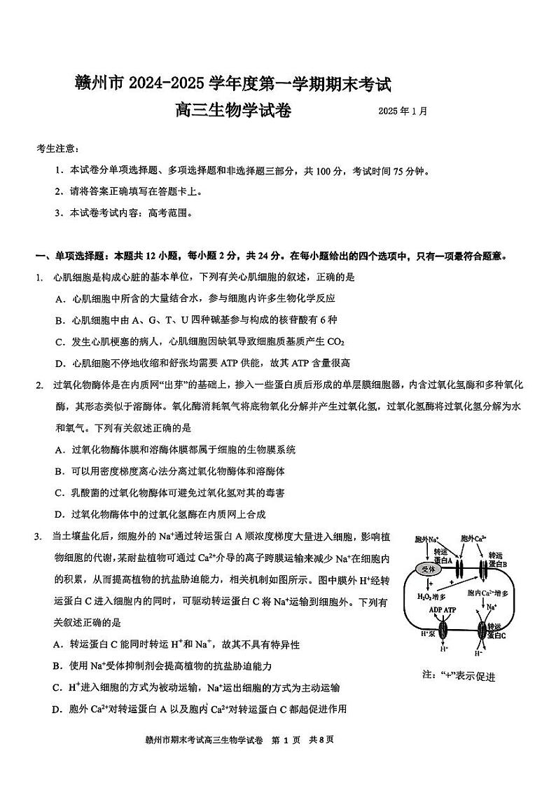 生物试卷                    第1页