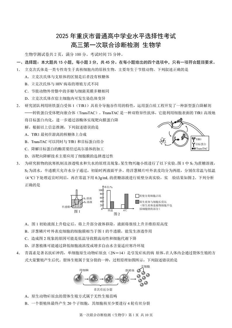2025届重庆康德一诊生物第1页