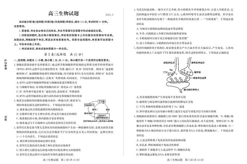 山东省德州市2024-2025学年上期高三期末考试生物试题含答案第1页