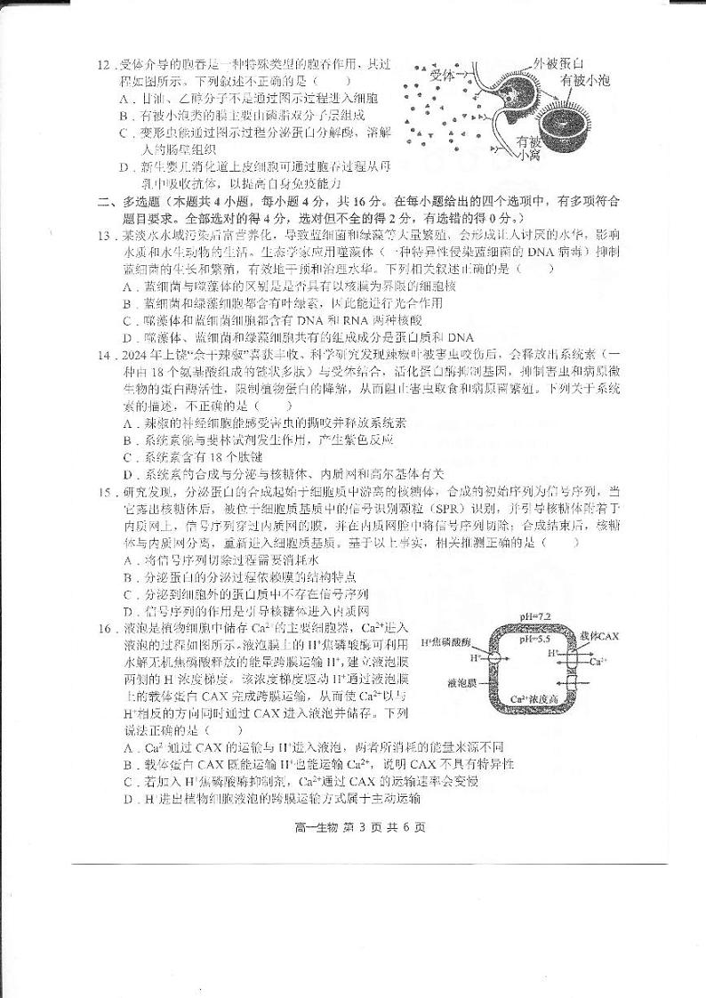 江西省上饶市2024-2025学年高一上学期1月期末生物试题第3页