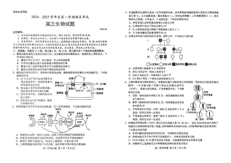 山东省菏泽市2024-2025学年高三上学期期末考试生物试题第1页
