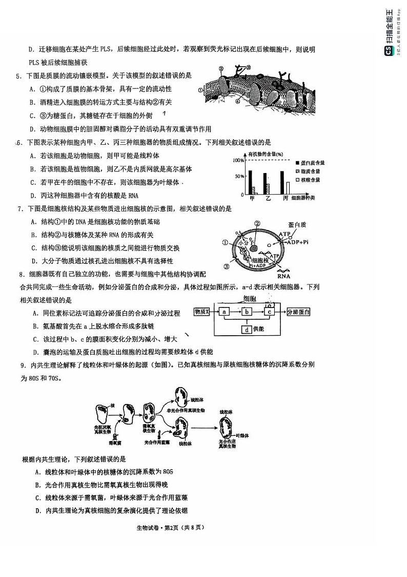 浙江省杭州第十四中学凤起校区2024-2025学年高一上学期期末考试生物试题第2页