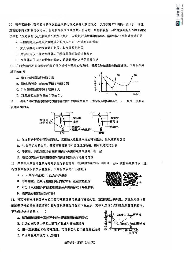浙江省杭州第十四中学凤起校区2024-2025学年高一上学期期末考试生物试题第3页