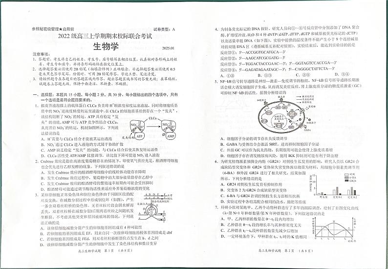 山东省日照市2024-2025学年高三上学期期末考试生物试题第1页