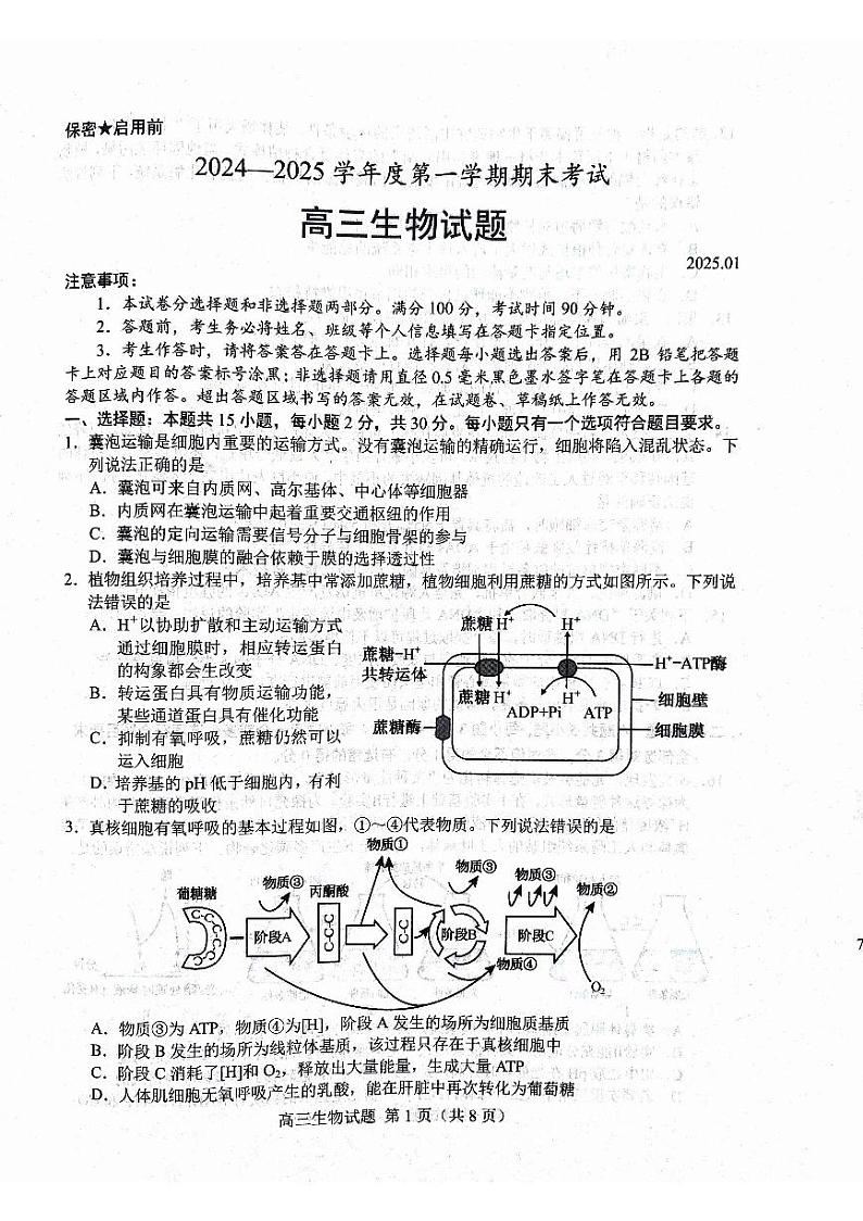 山东省菏泽市2024-2025学年高三上学期生物期末考试第1页