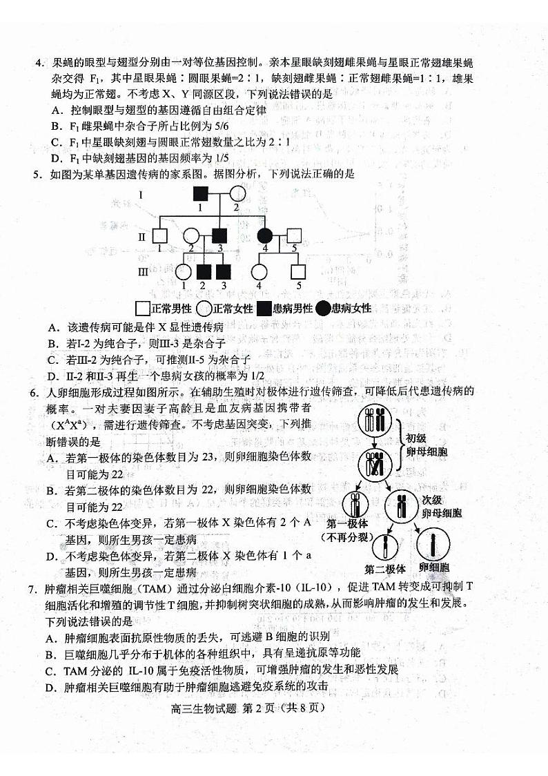 山东省菏泽市2024-2025学年高三上学期生物期末考试第2页