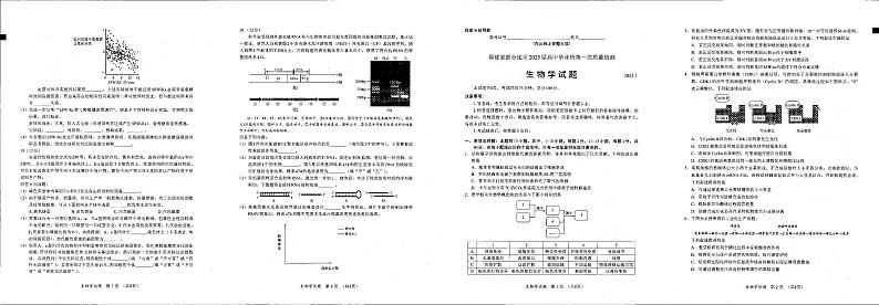福建省六市地区2025届高中毕业班高考模拟第一次质量检测-生物试卷+答案第1页