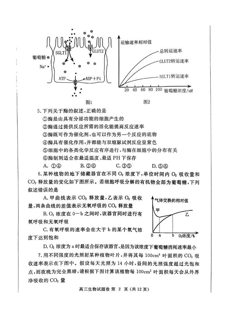 2025郑州高三上学期第一次质量预测试题生物PDF版含答案第2页