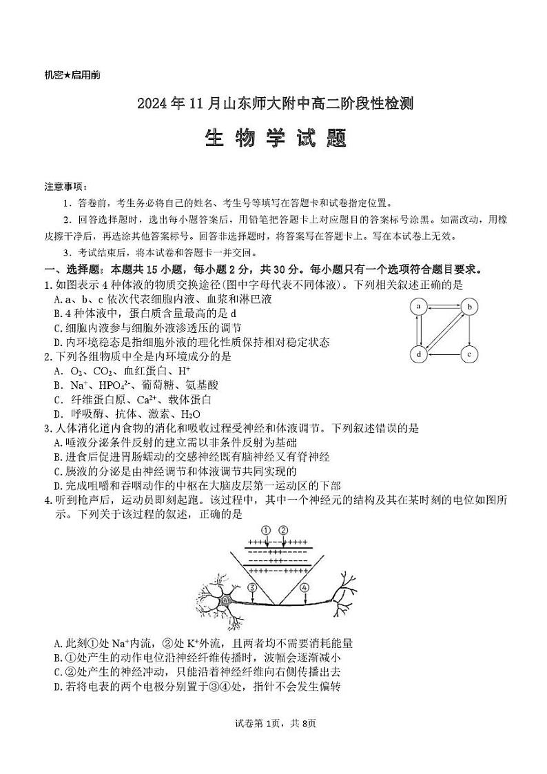 2025山东师大附中高二上学期11月阶段性检测试题生物PDF版含答案第1页