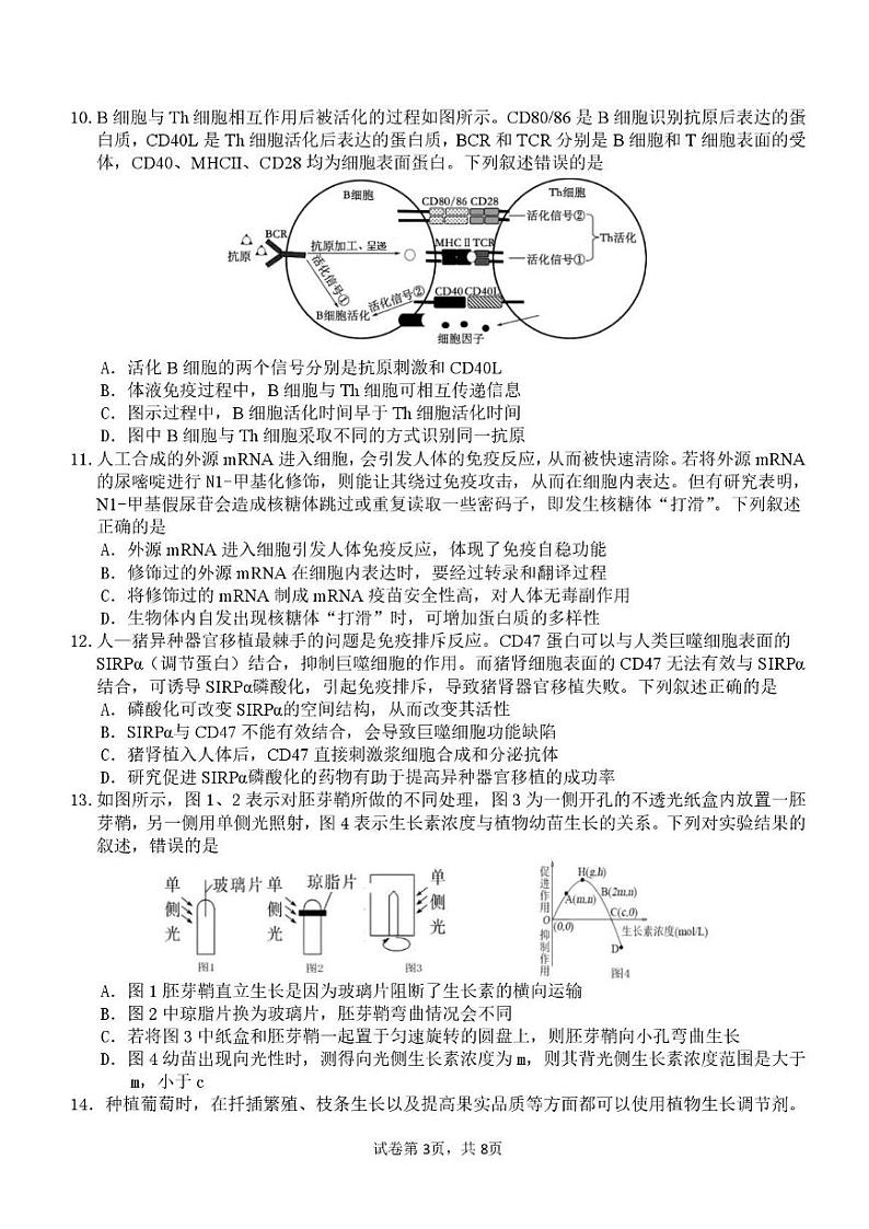 2025山东师大附中高二上学期11月阶段性检测试题生物PDF版含答案第3页