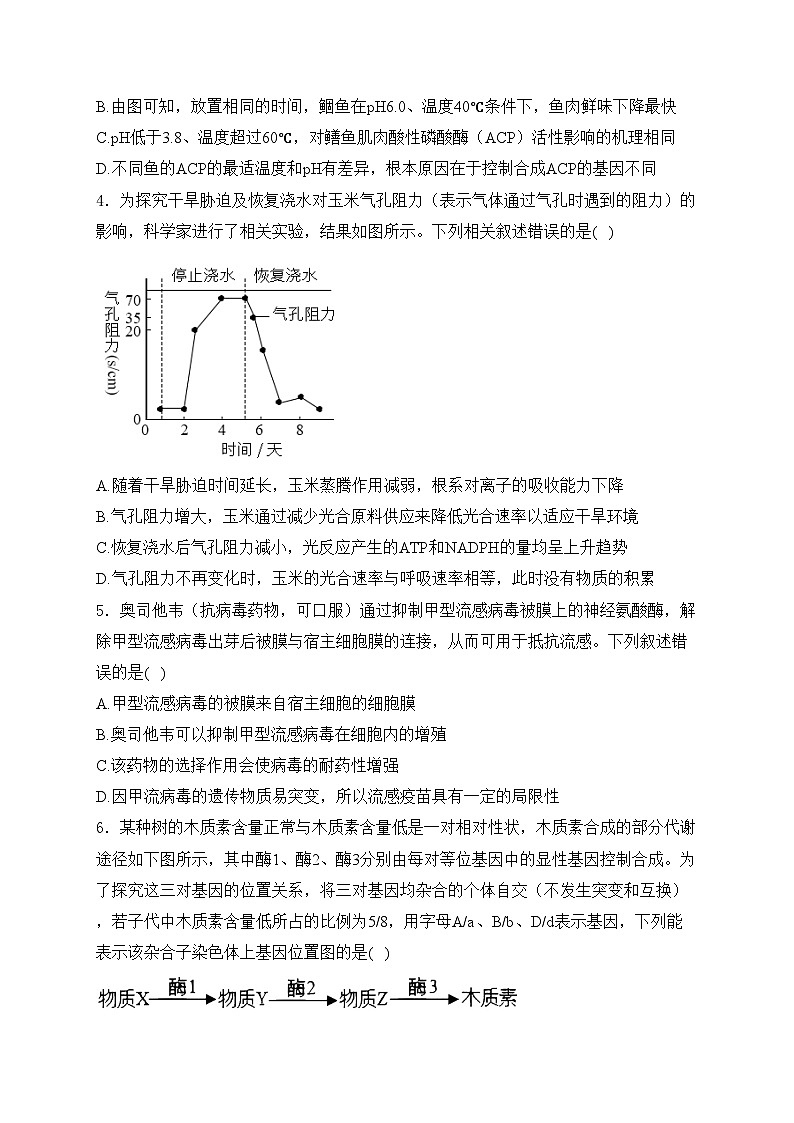 贵州省安顺市2024-2025学年高三上学期期末模拟生物试卷(含答案)第2页
