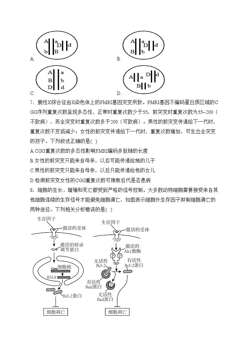 贵州省安顺市2024-2025学年高三上学期期末模拟生物试卷(含答案)第3页