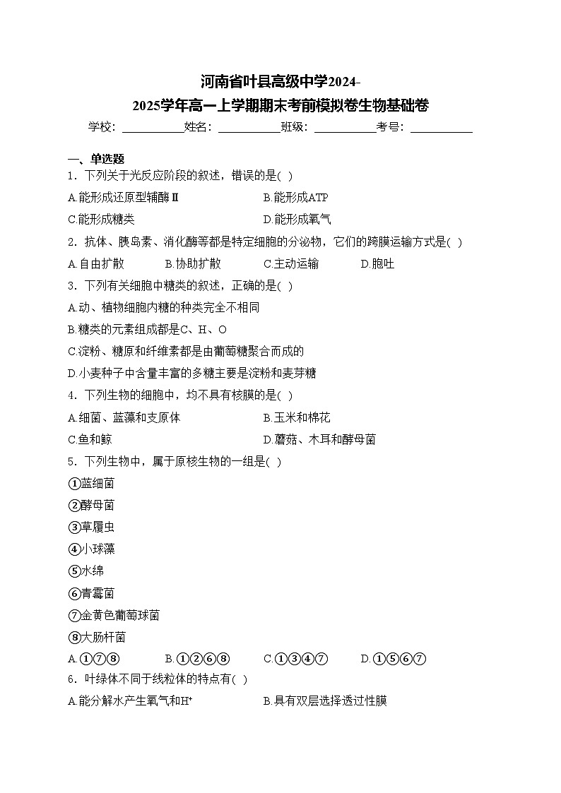 河南省叶县高级中学2024-2025学年高一上学期期末考前模拟卷生物基础卷(含答案)第1页
