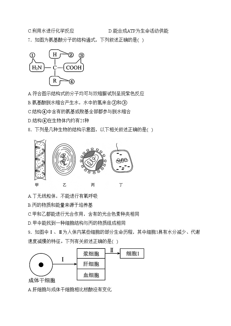 河南省叶县高级中学2024-2025学年高一上学期期末考前模拟卷生物基础卷(含答案)第2页