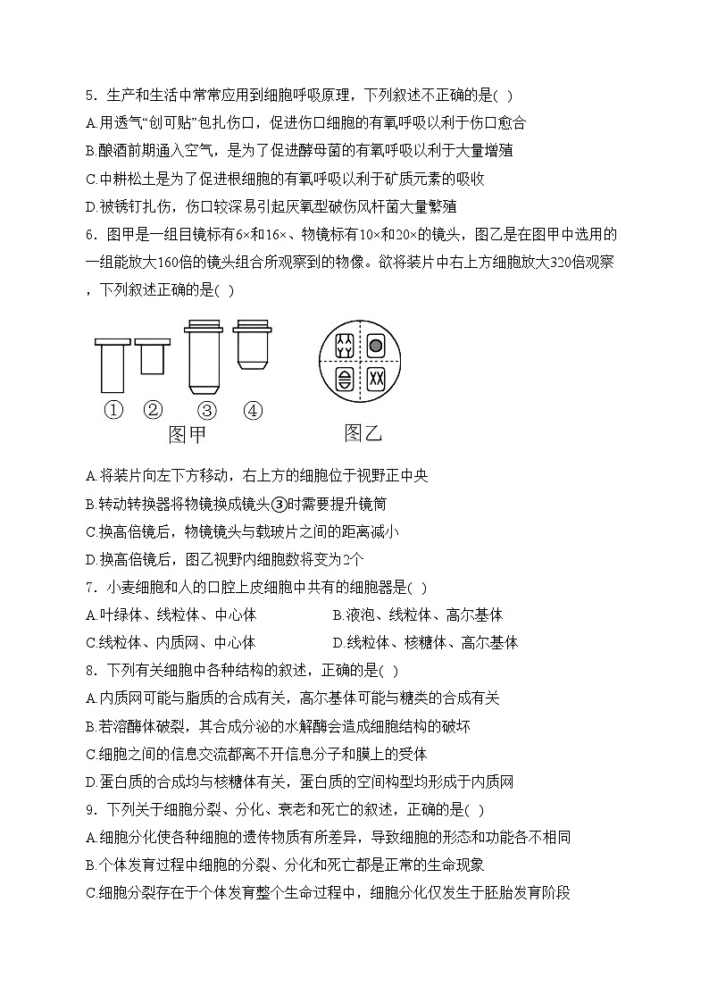 河南省叶县高级中学2024-2025学年高一上学期期末考试生物试卷(含答案)第2页