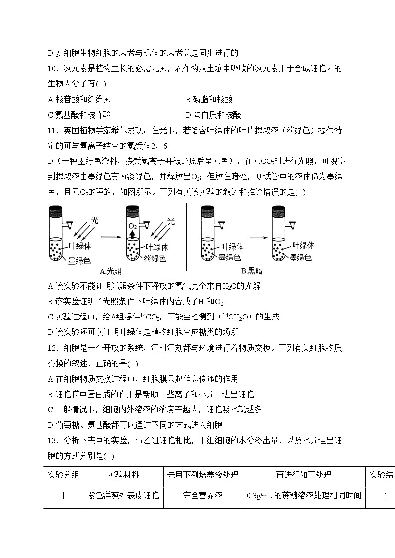 河南省叶县高级中学2024-2025学年高一上学期期末考试生物试卷(含答案)第3页