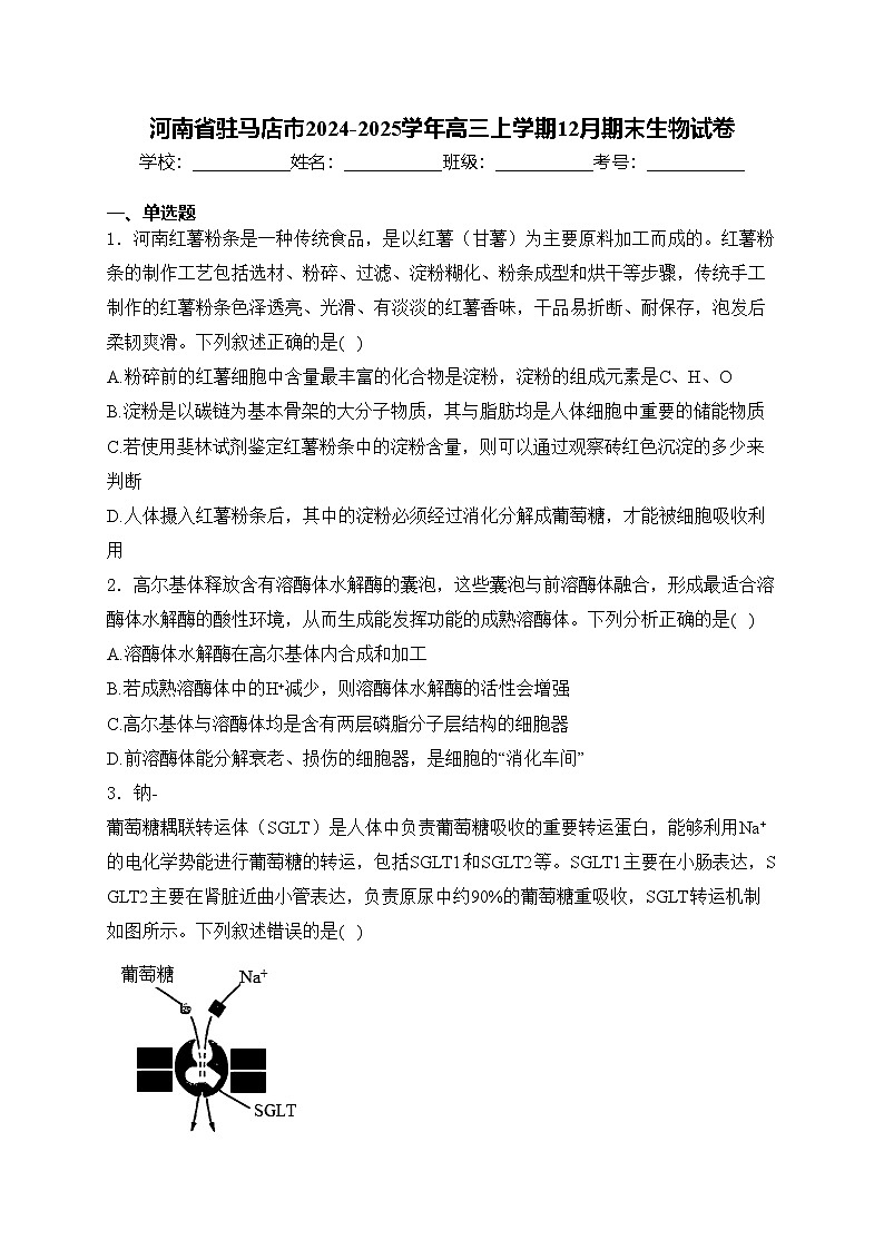 河南省驻马店市2024-2025学年高三上学期12月期末生物试卷(含答案)第1页