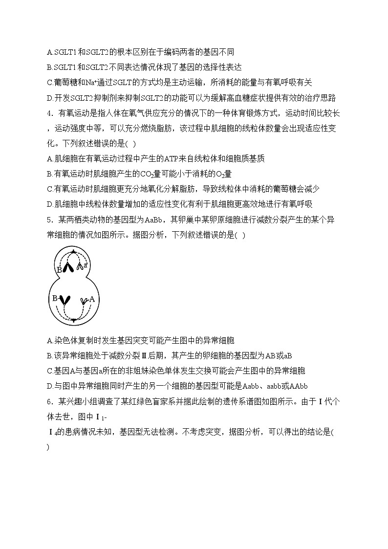 河南省驻马店市2024-2025学年高三上学期12月期末生物试卷(含答案)第2页