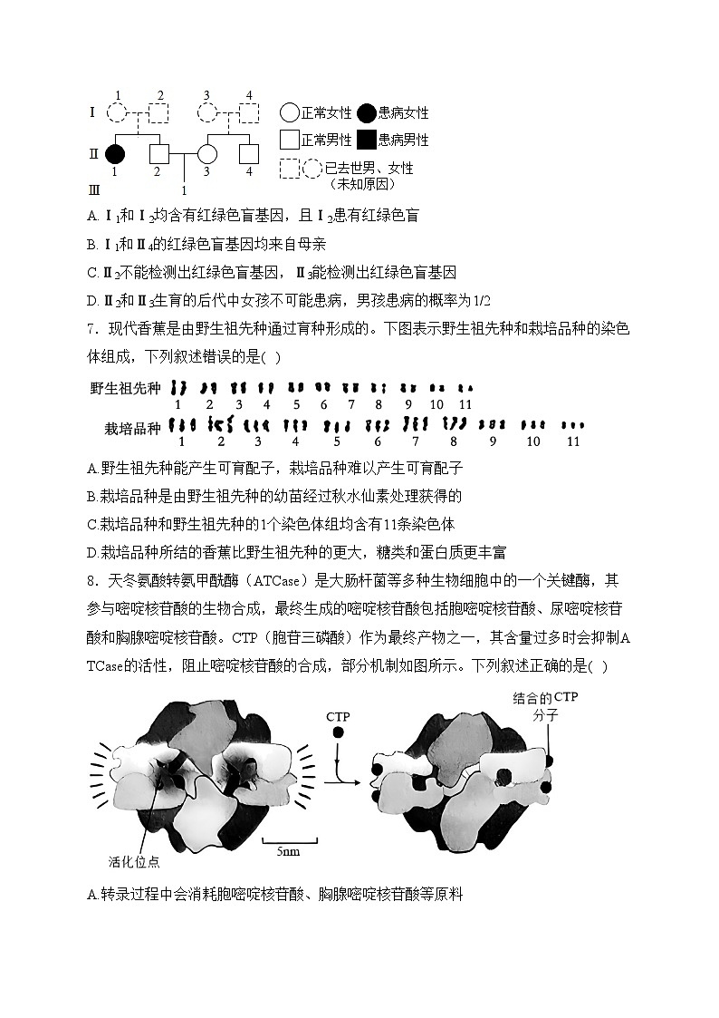 河南省驻马店市2024-2025学年高三上学期12月期末生物试卷(含答案)第3页