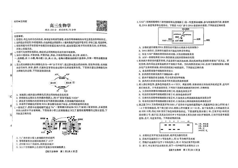 安徽省安庆市怀宁县高河中学2024-2025学年高三上学期期末生物学试题第1页