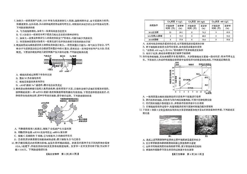 安徽省安庆市怀宁县高河中学2024-2025学年高三上学期期末生物学试题第2页