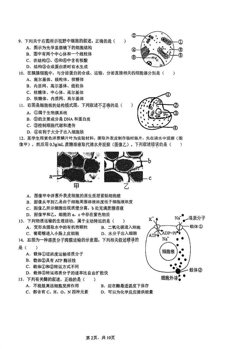 北京市中国人民大学附属中学2024-2025学年高一上学期1月期末生物试题第2页