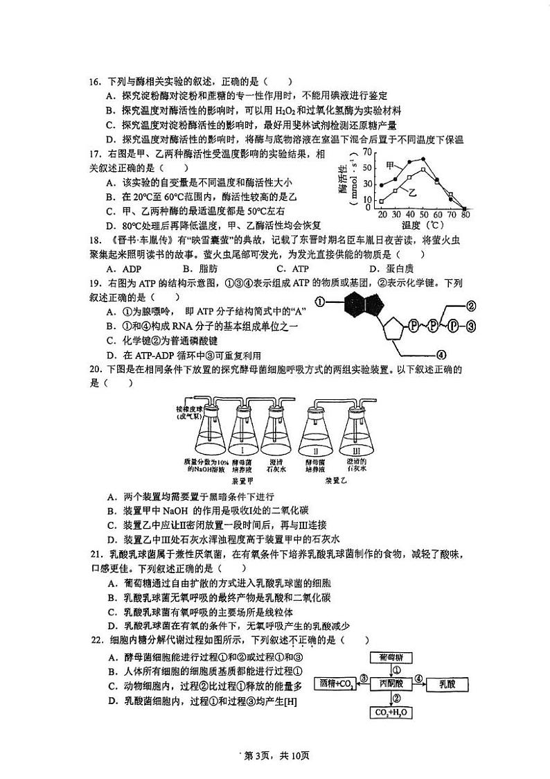 北京市中国人民大学附属中学2024-2025学年高一上学期1月期末生物试题第3页