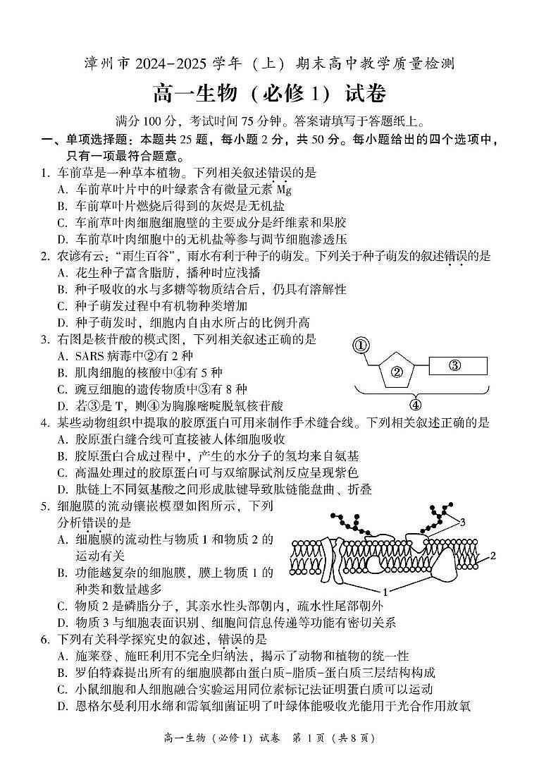 福建省漳州市2024-2025学年高一上学期期末考试生物试题第1页