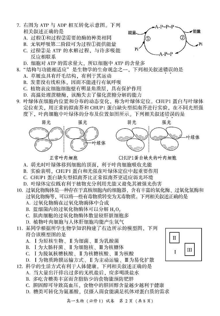 福建省漳州市2024-2025学年高一上学期期末考试生物试题第2页
