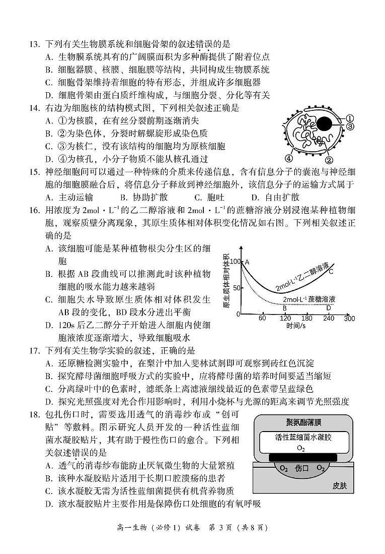 福建省漳州市2024-2025学年高一上学期期末考试生物试题第3页
