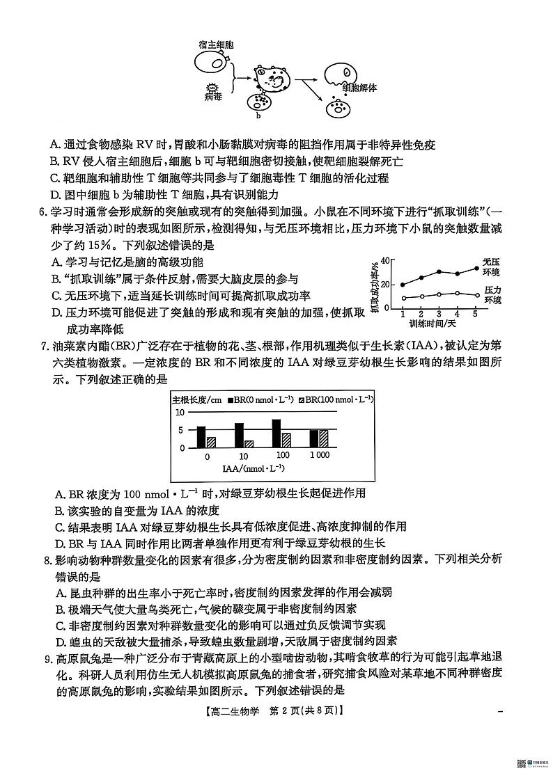 河北省沧州市2024-2025学年高二上学期1月期末生物试题第2页