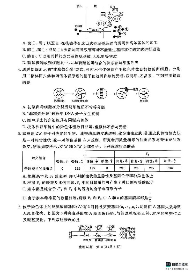 河南省周口市项城市2024-2025学年高三上学期1月期末生物试题第2页