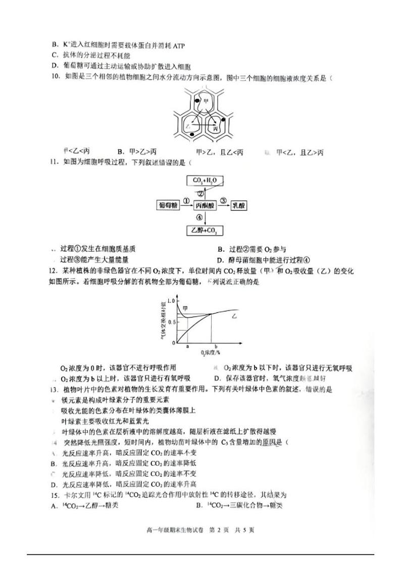 湖南省长沙市明德中学2024-2025学年高一上学期期末考试生物试题第2页