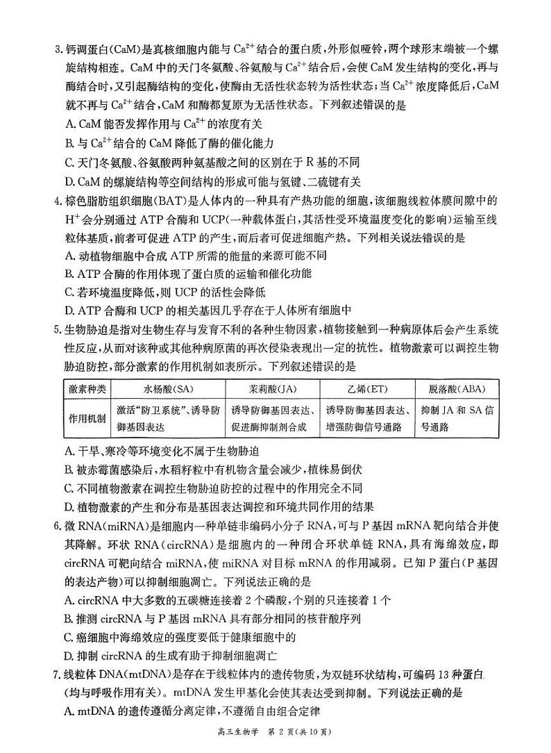 山东省聊城市2024-2025学年高三上学期1月期末生物试题第2页