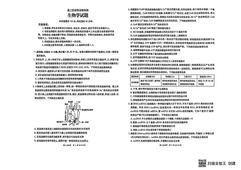 山东省期聊城部分学校2024—2025学年高三上学期期末考试生物试题第1页