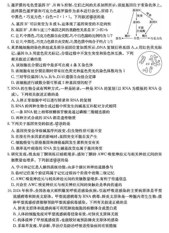 生物 生物第2页