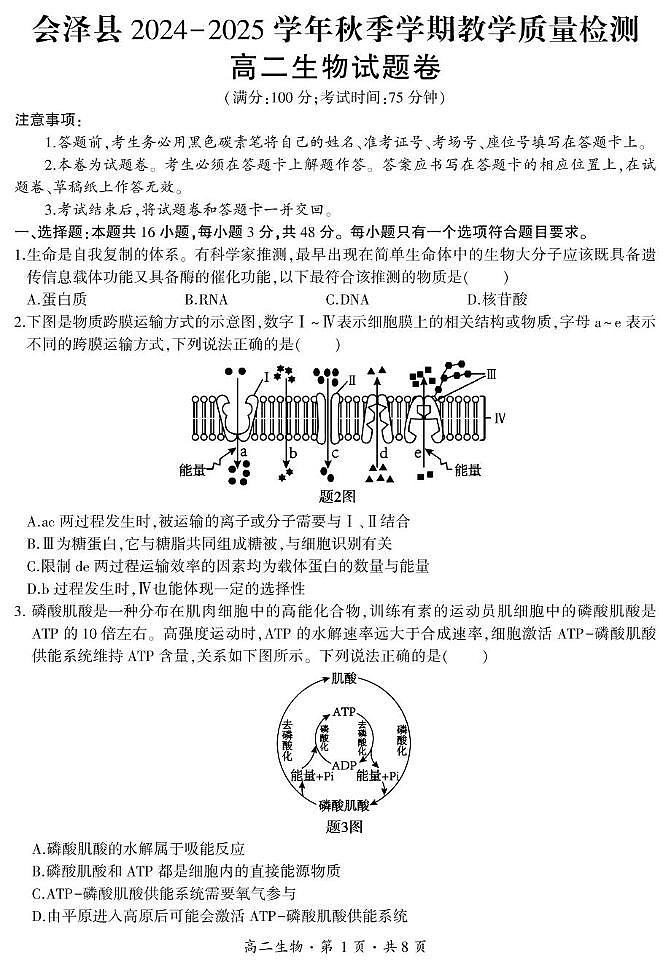 云南省曲靖市会泽县2024-2025学年高二上学期期末生物试题 高二生物试卷第1页