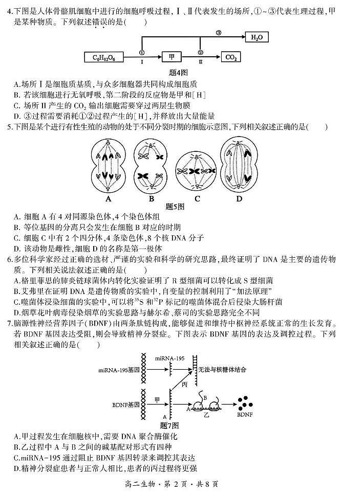云南省曲靖市会泽县2024-2025学年高二上学期期末生物试题 高二生物试卷第2页