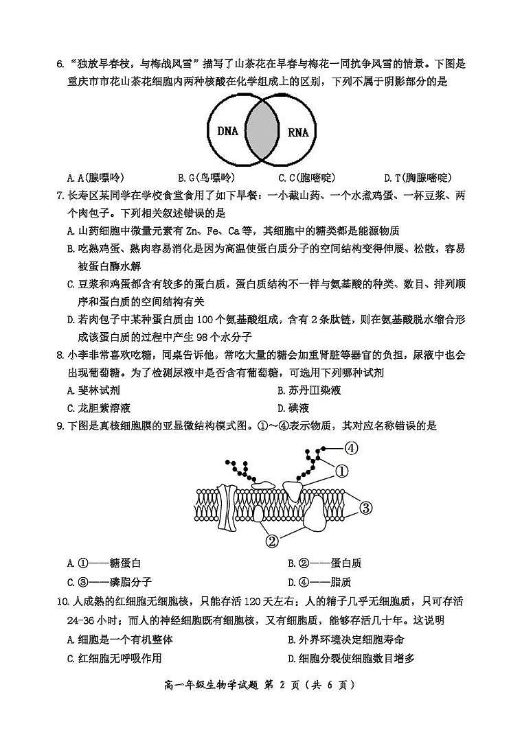 高一生物学试题B卷第2页