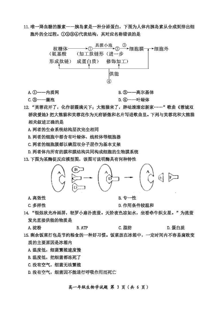 高一生物学试题B卷第3页