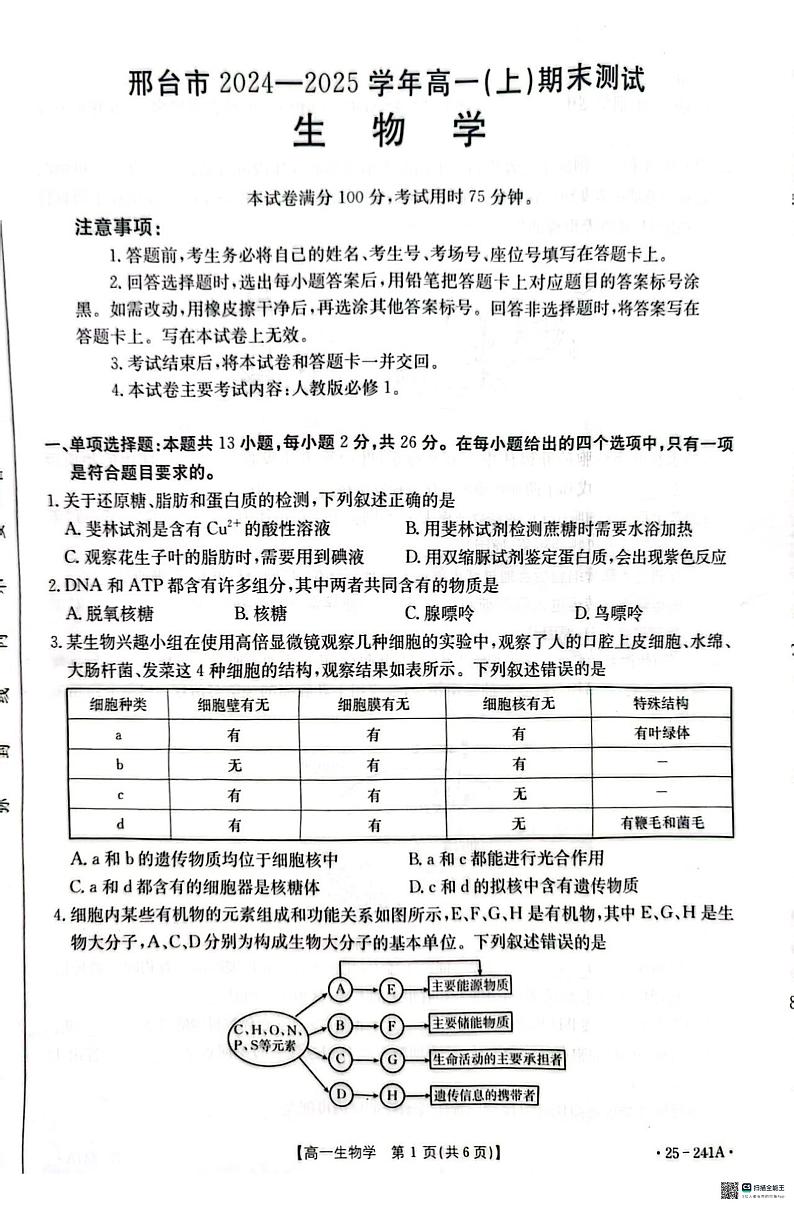 河北省邢台市2024-2025学年高一上学期1月期末考试生物试题第1页