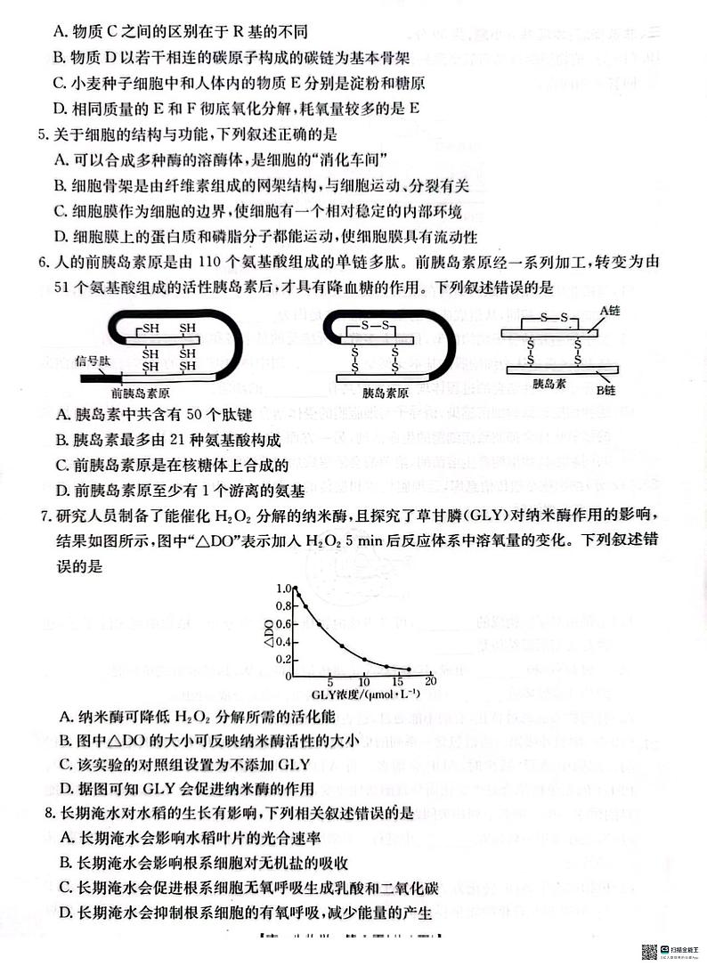 河北省邢台市2024-2025学年高一上学期1月期末考试生物试题第2页