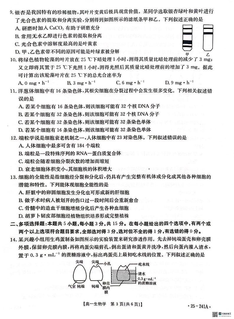 河北省邢台市2024-2025学年高一上学期1月期末考试生物试题第3页