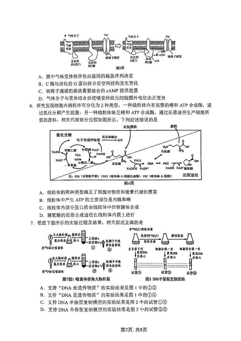 2025届重庆主城五区高考模拟一诊-生物试题+答案第2页