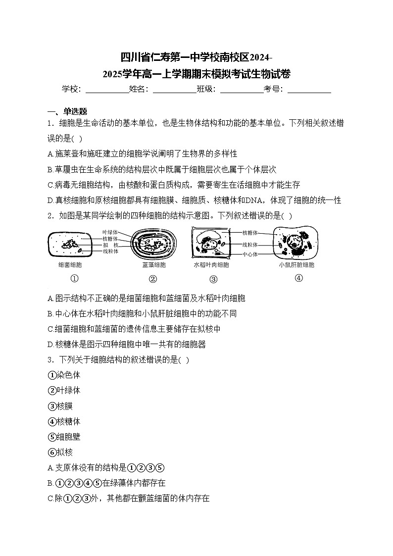 四川省仁寿第一中学校南校区2024-2025学年高一上学期期末模拟考试生物试卷(含答案)第1页